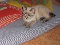 /album/fabio-staffoni/img-4314-jpg/