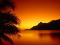 /album/galleria-fotografica/hawaii-jpg1/
